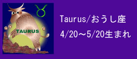 Taurus/おうし座